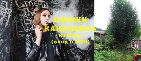 винт Гусь-Хрустальный