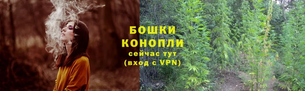 винт Гусь-Хрустальный