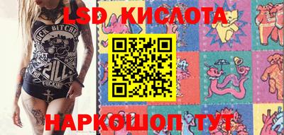 МДПВ Бийск