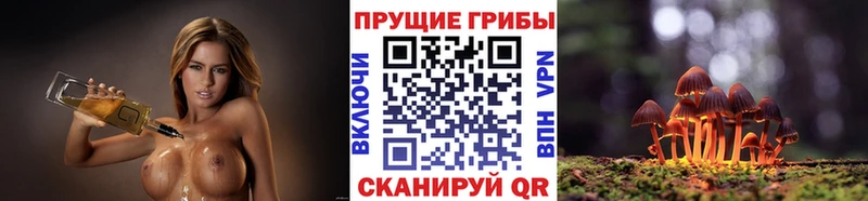 Галлюциногенные грибы Psilocybine cubensis  кракен ONION  Гуково  хочу наркоту 